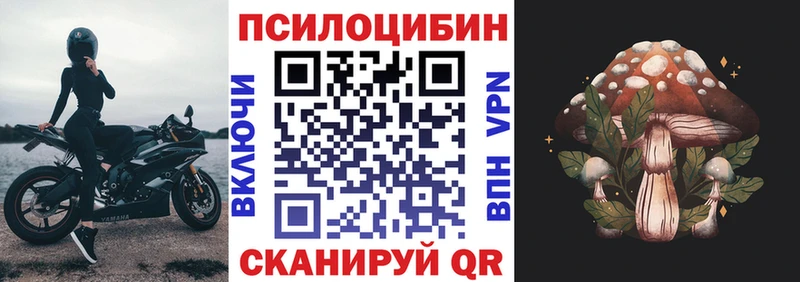 купить  сайты  Лабытнанги  Галлюциногенные грибы MAGIC MUSHROOMS 