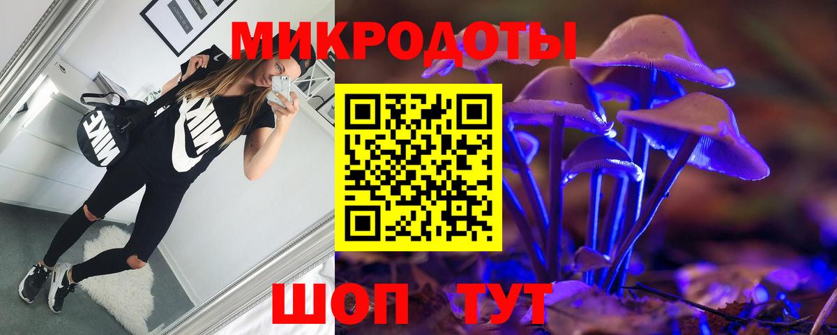 Лабытнанги  Псилоцибиновые грибы Psilocybine cubensis  Вход с VPN 