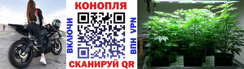 Бошки Шишки сатива купить закладку Лабытнанги